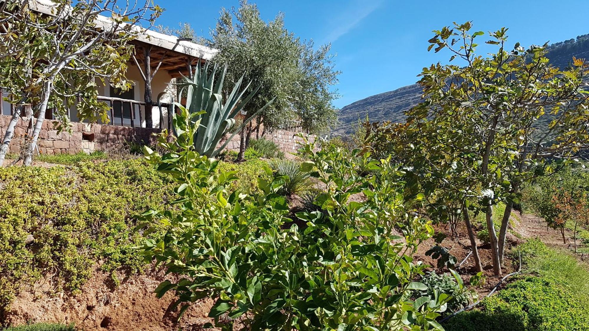 Le Douar Berbere (Adults Only) Villa Urika Kültér fotó